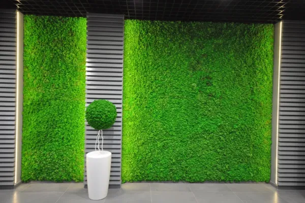 Wall Grass
