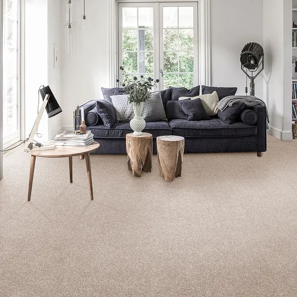 Aurelius Invictus Living Room Carpet