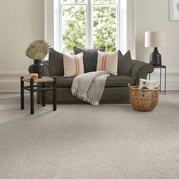 Royal Charter Berber Living Room Carpet
