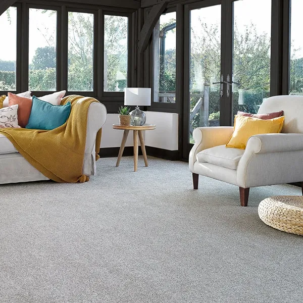 Stainfree Rustique Living Room Carpet