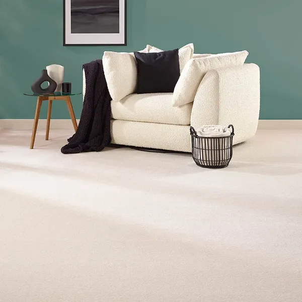 Stainfree Ultra Living Room Carpet